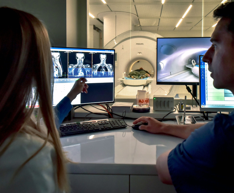 Лігаментоз