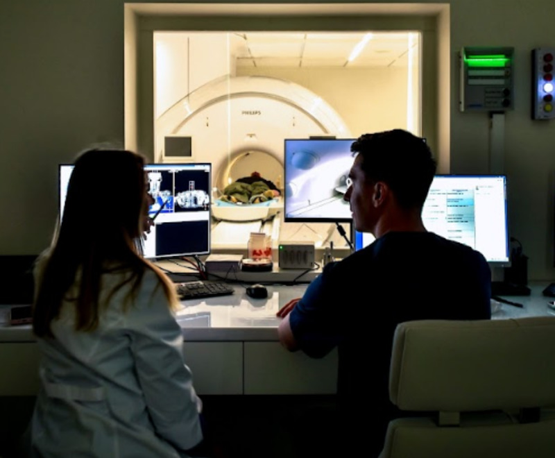 Лигаментит